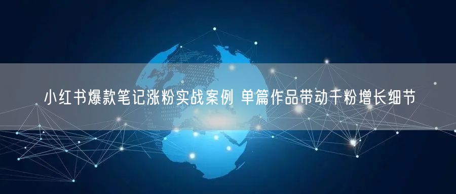 小红书爆款笔记涨粉实战案例 单篇作品带动
