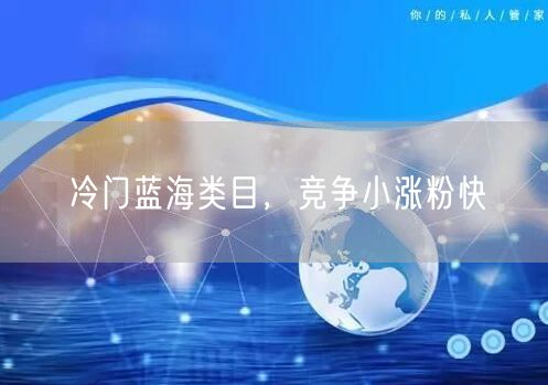 冷门蓝海类目，竞争小涨粉快