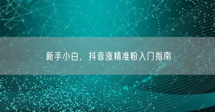 新手小白,抖音涨精准粉入门指南