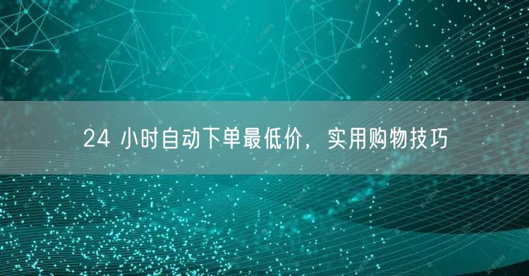 24 小时自动下单最低价，实用购物技巧