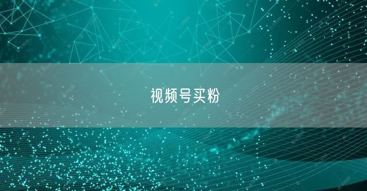 视频号买粉