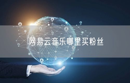 网易云音乐哪里买粉丝