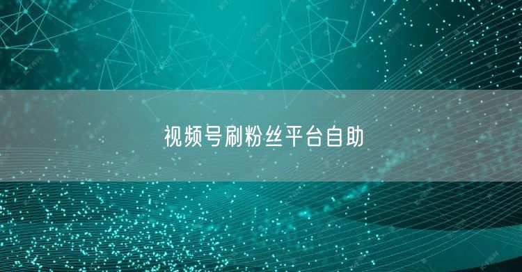视频号刷粉丝平台自助