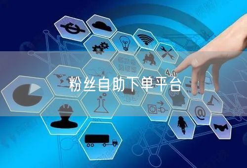 粉丝自助下单平台