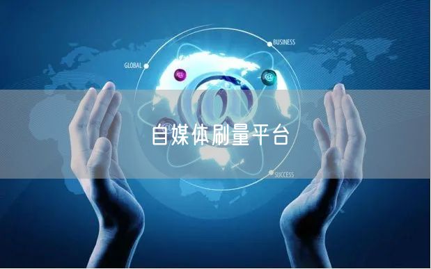 自媒体刷量平台