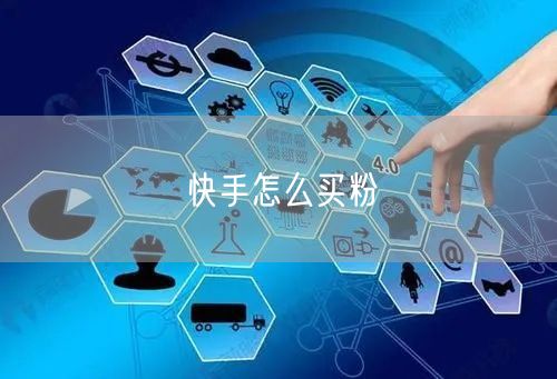 快手怎么买粉