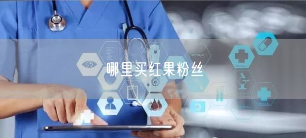 哪里买红果粉丝