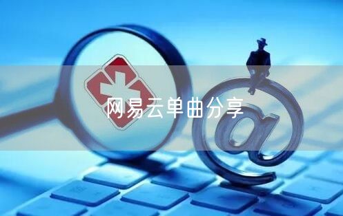 网易云单曲分享