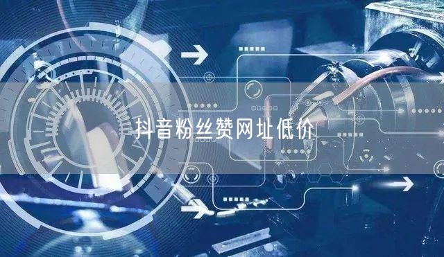 抖音粉丝赞网址低价