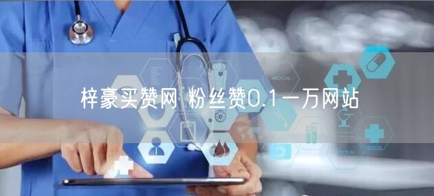 梓豪买赞网 粉丝赞0.1一万网站