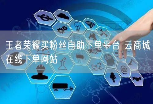 王者荣耀买粉丝自助下单平台 云商城在线下单网站