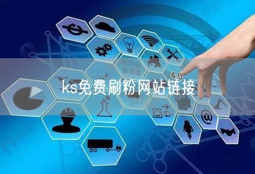 ks免费刷粉网站链接