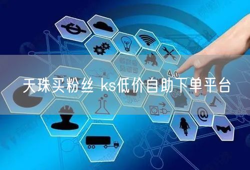 天珠买粉丝 ks低价自助下单平台