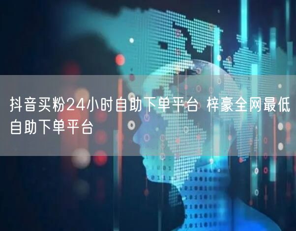 抖音买粉24小时自助下单平台 梓豪全网最低自助下单平台