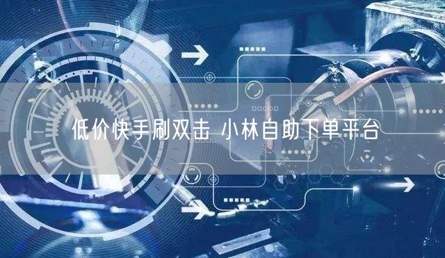 低价快手刷双击 小林自助下单平台