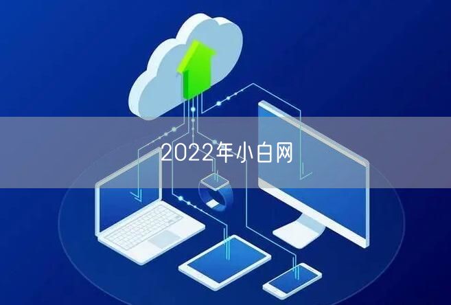 2022年小白网