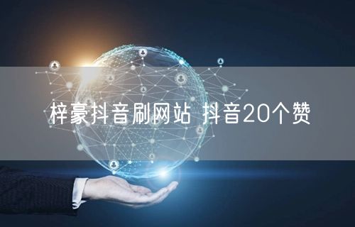 梓豪抖音刷网站 抖音20个赞